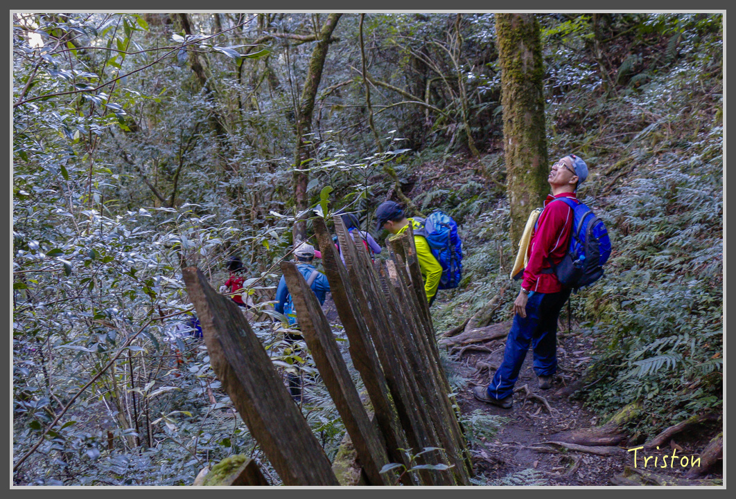 _MG_0235.jpg - 20161203 鎮西堡