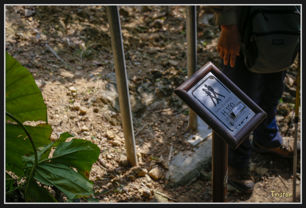 00177.jpg - 20170107 香港健行