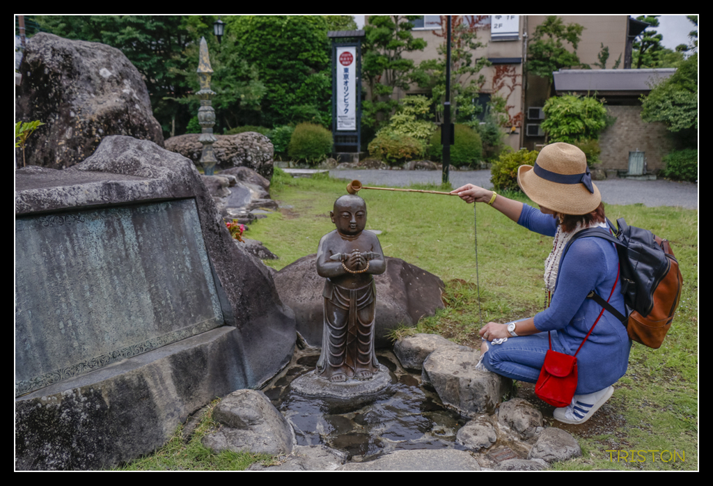 _MG_1194.jpg - 20170702 靜岡東海道之旅