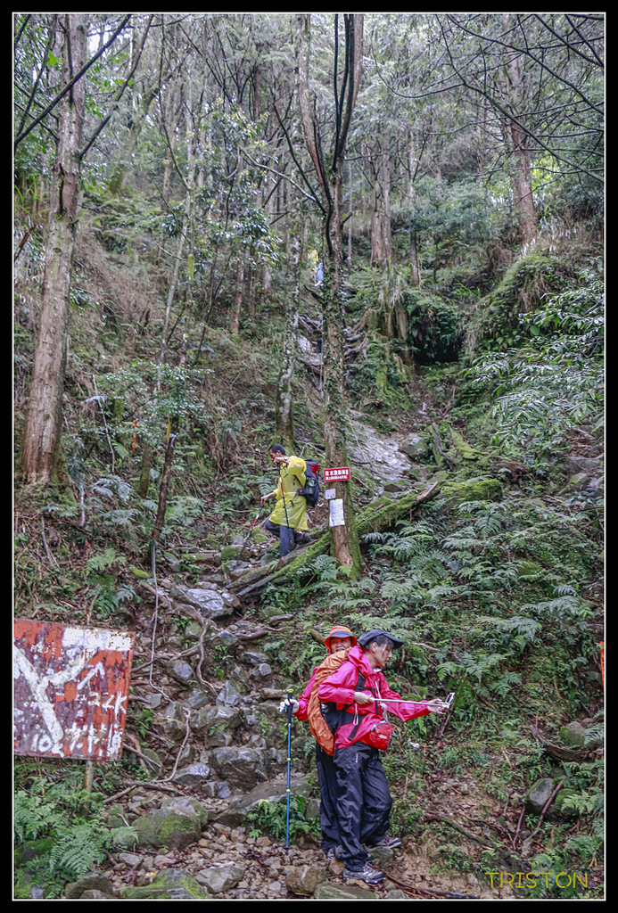_MG_0056.jpg - 20170723 水漾森林