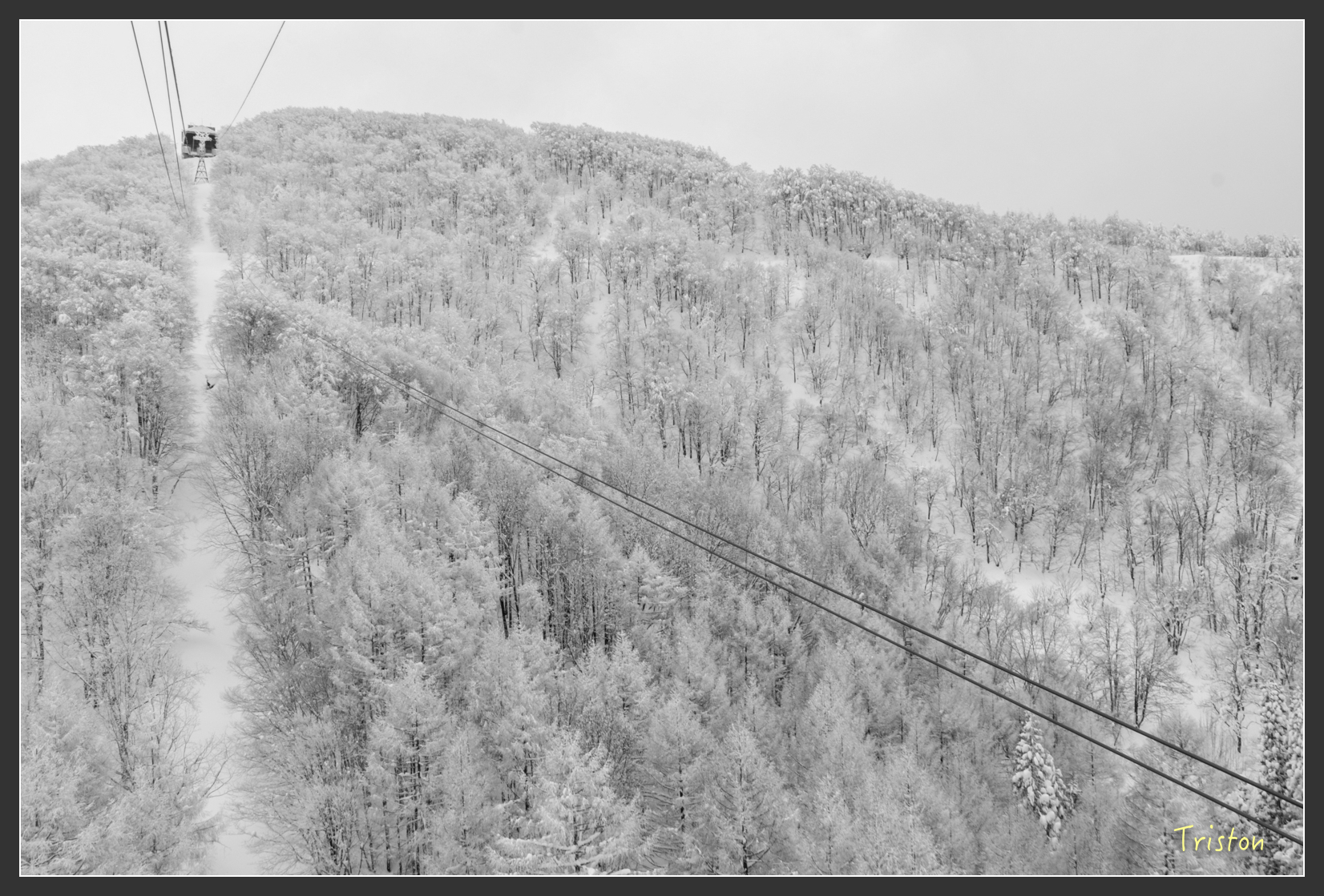 2016ZAO-01802.jpg - 20160131 日本藏王溫泉滑雪親子行