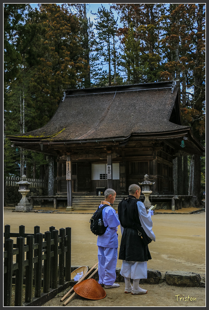 IMG_4548.jpg - 20160323 日本熊野古道健行