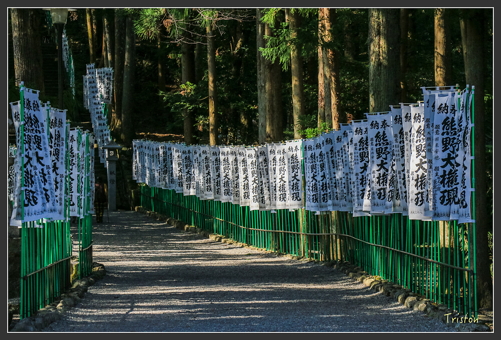 IMG_4942.jpg - 20160323 日本熊野古道健行