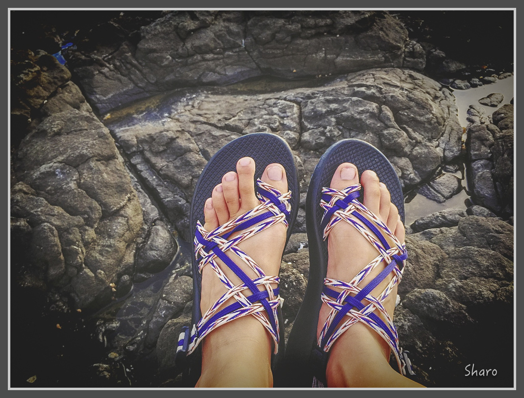 IMG_7749 (1).jpg - 20160701 澎湖