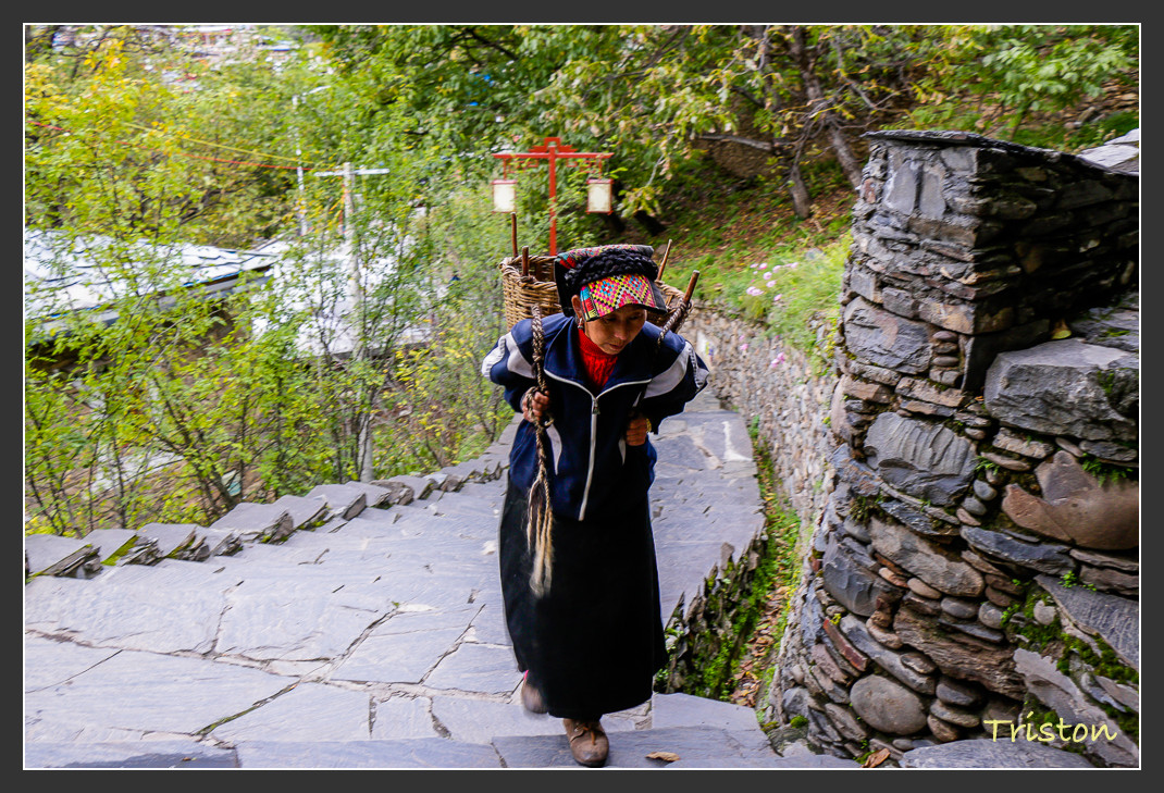 _MG_0369.jpg - 20161013 稻城亞丁