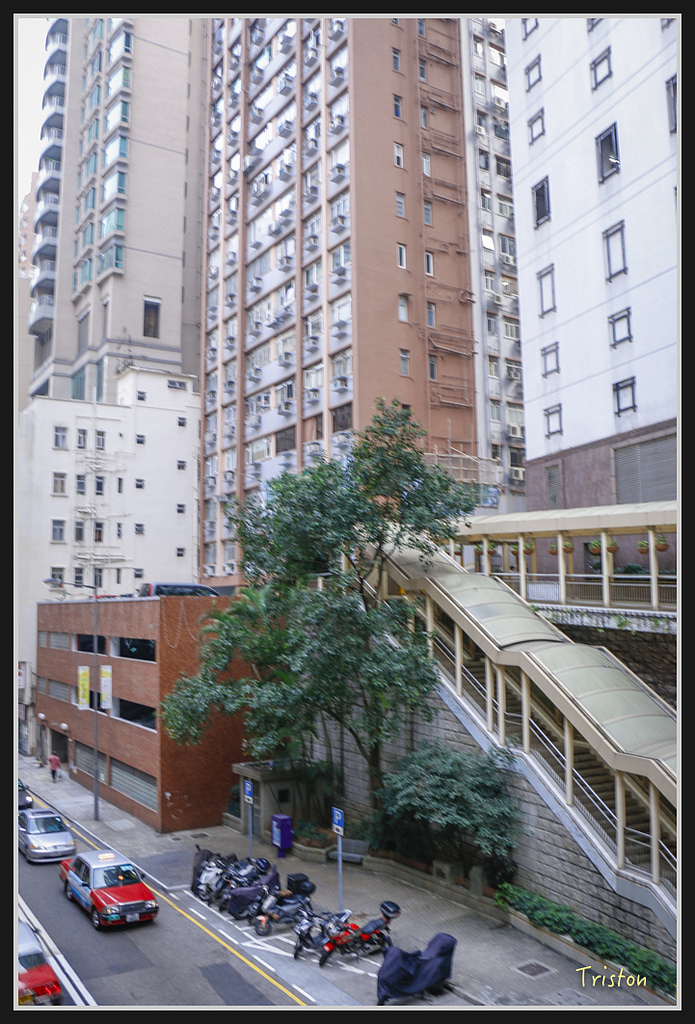 00201.jpg - 20170107 香港健行