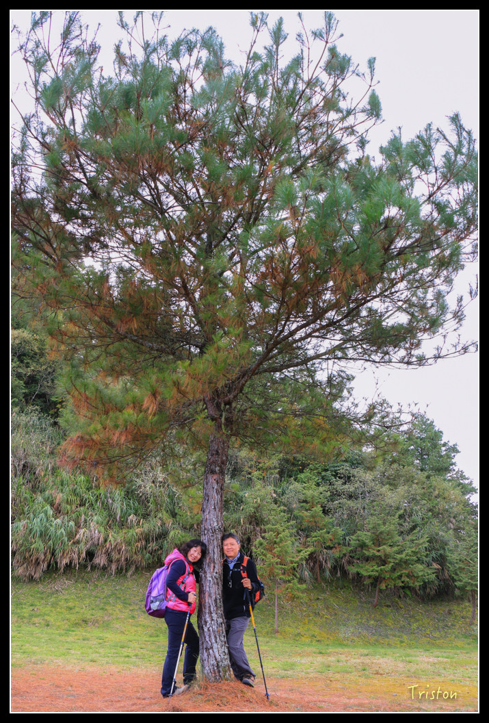 IMG_9379.jpg - 20151130 小笠原山、對高岳