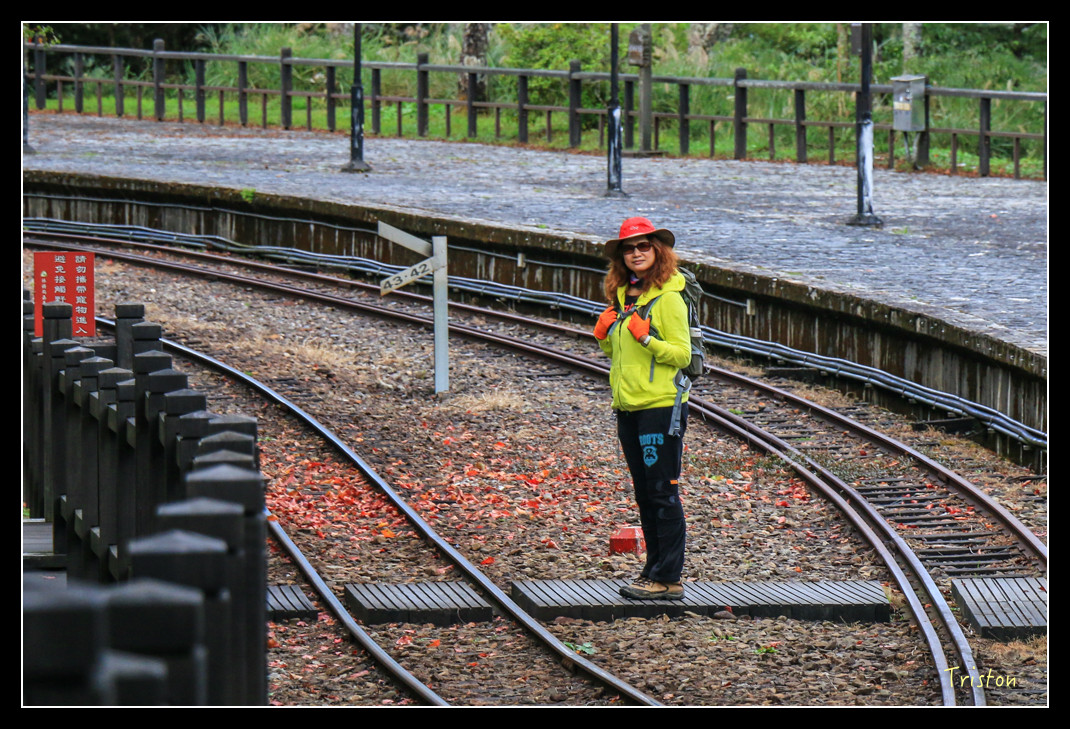 IMG_9358.jpg - 20151130 小笠原山、對高岳