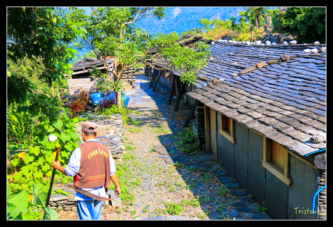 IMG_9492.jpg - 20151202 老七佳部落