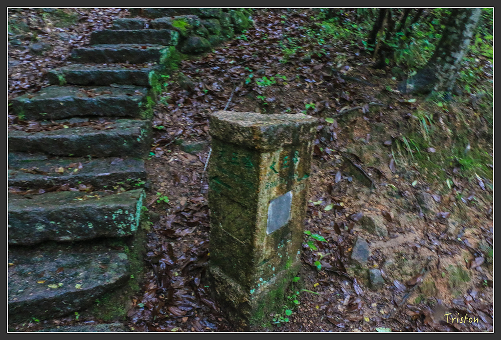 IMG_6418.jpg - 20160409 武夷山之旅