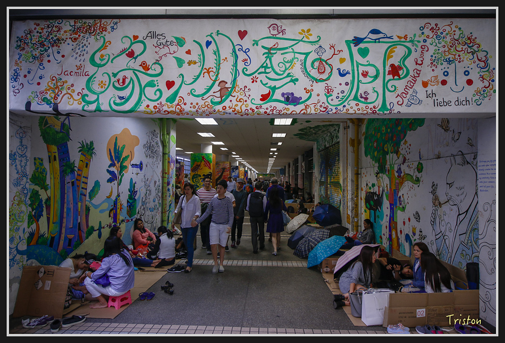 00220.jpg - 20170107 香港健行