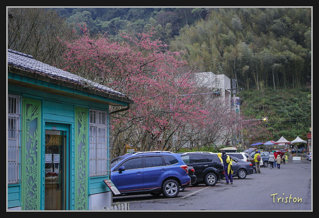 _H1A1948.jpg - 20170212 武界 萬大電廠 奧萬大