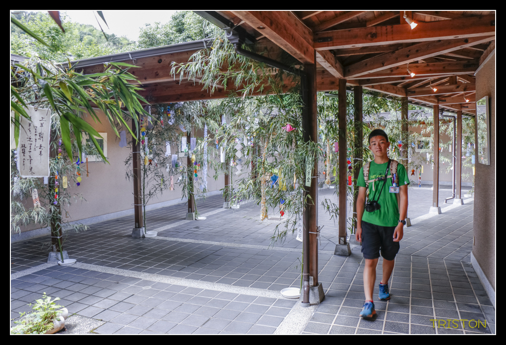 _MG_1223.jpg - 20170702 靜岡東海道之旅