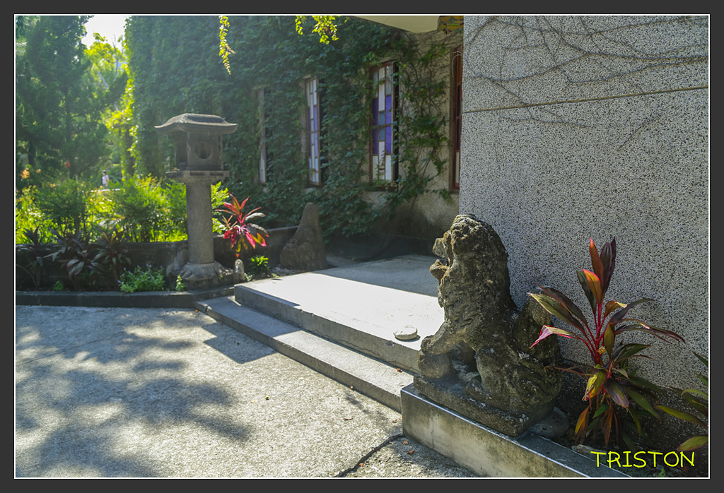 _H1A6245.jpg - 20170901 戀戀台九線