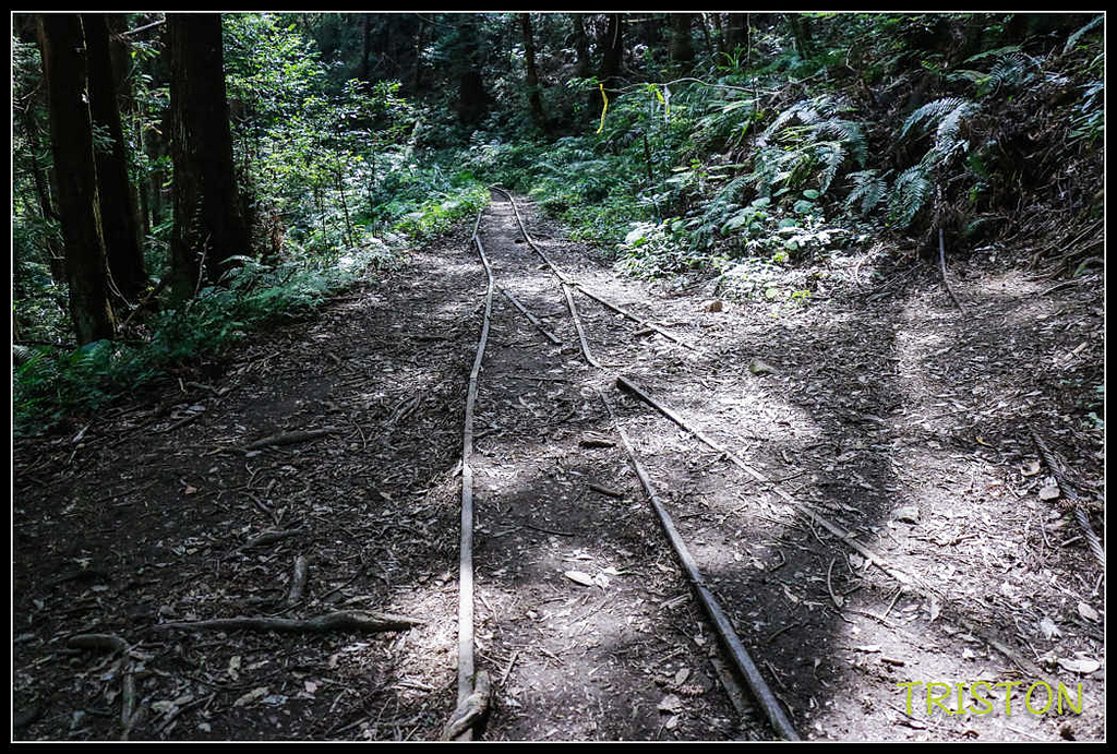 _MG_0036.jpg - 20170920 加里山