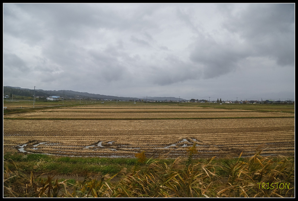_H1A0850.jpg - 20171103 日本只見線、會津若松五色沼、昭和記念公園賞紅葉