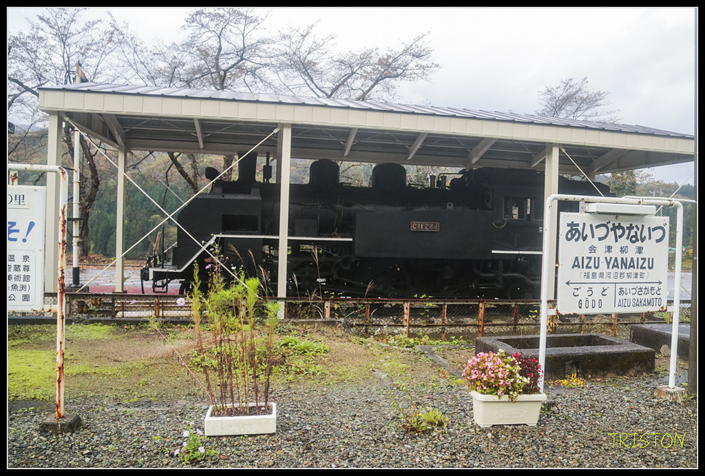 _H1A0264.jpg - 20171103 日本只見線、會津若松五色沼、昭和記念公園賞紅葉