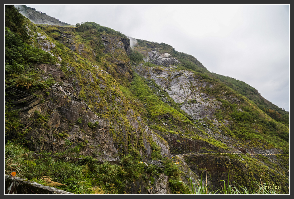 JH1A8184.jpg - 20160111 吉露、阿禮部落