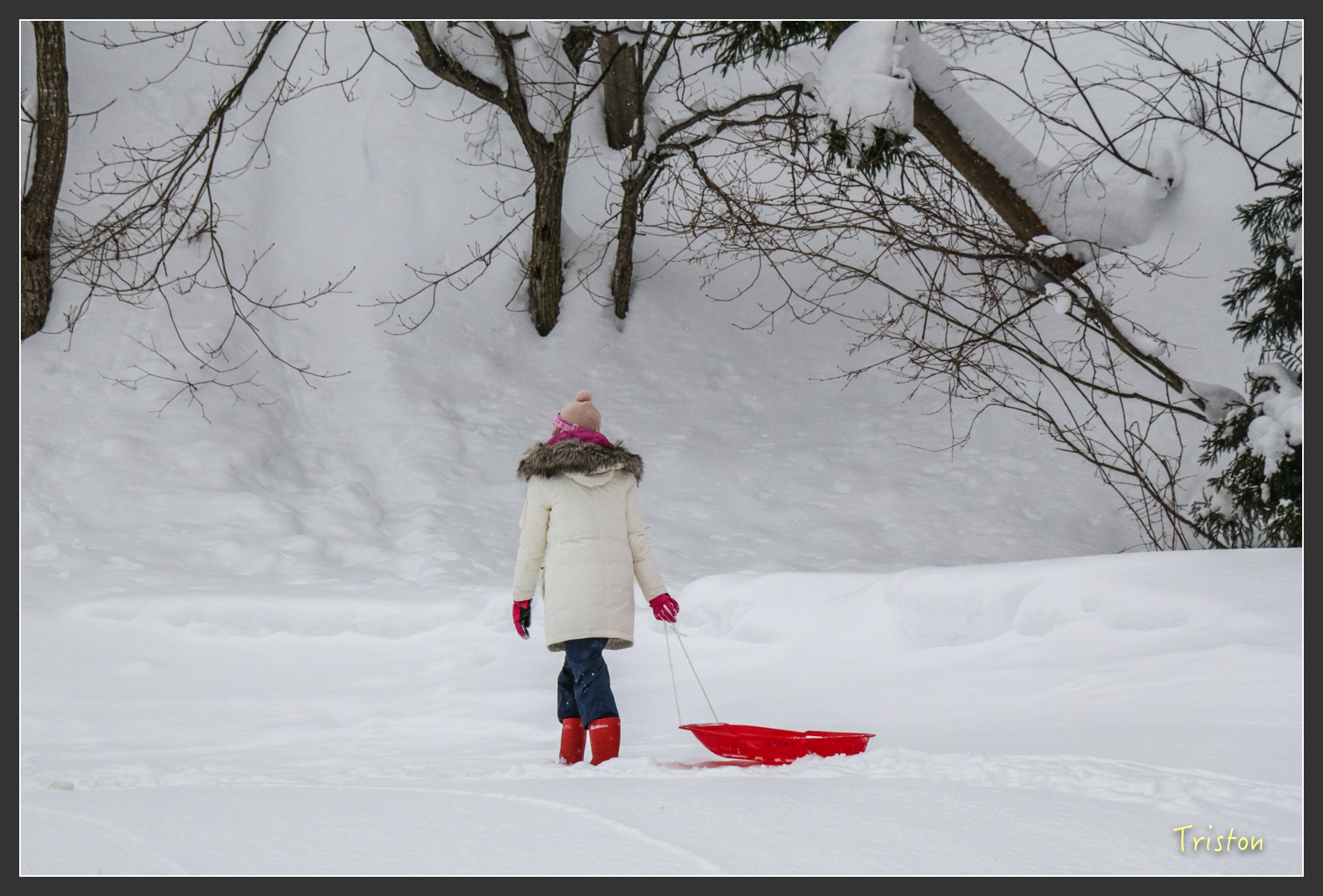 2016ZAO-01852.jpg - 20160131 日本藏王溫泉滑雪親子行