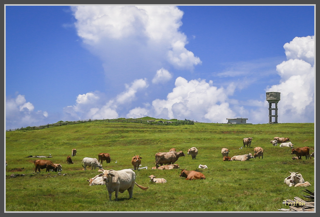 JH1A1463.jpg - 20160701 澎湖