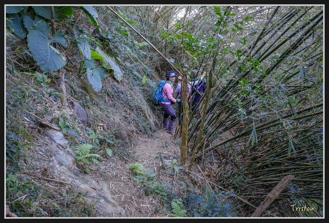 _MG_0485.jpg - 201161217 旗靈縱走