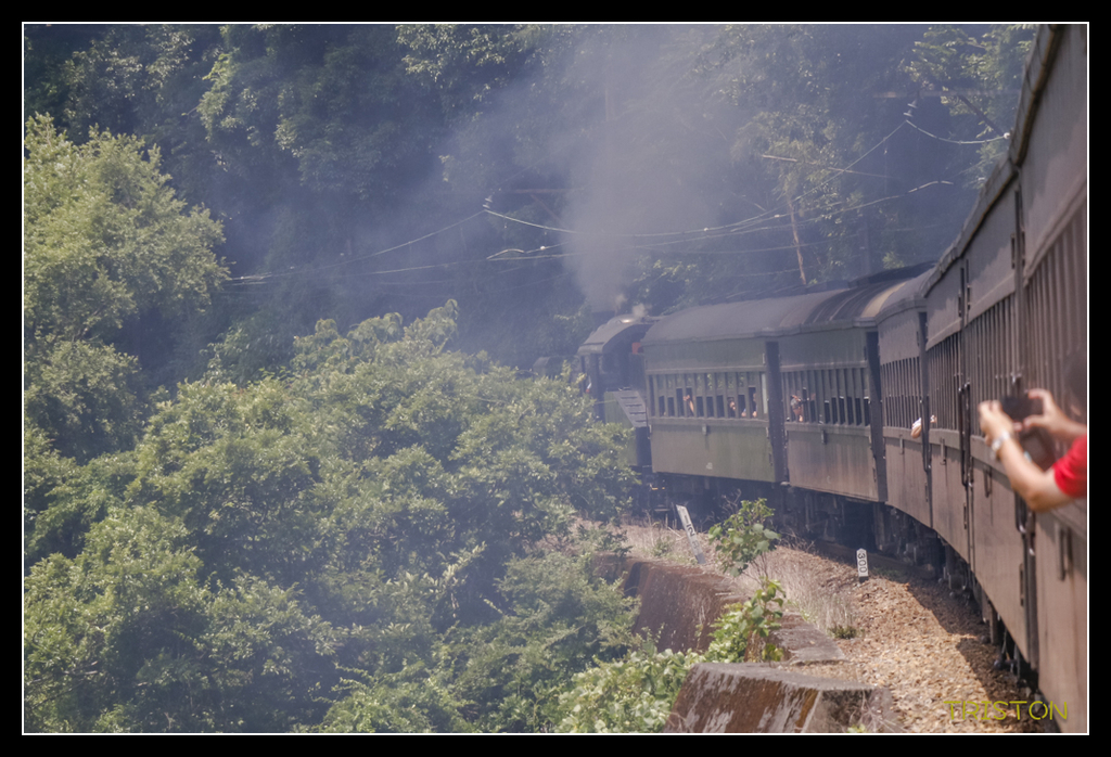 _MG_0376.jpg - 20170702 靜岡東海道之旅