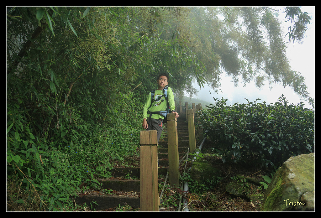 JH1A9764.jpg - 20150920 石棹,霧之道 茶之道 雲之道