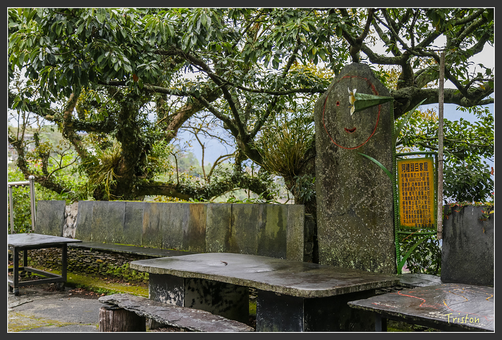 JH1A8214.jpg - 20160111 吉露、阿禮部落