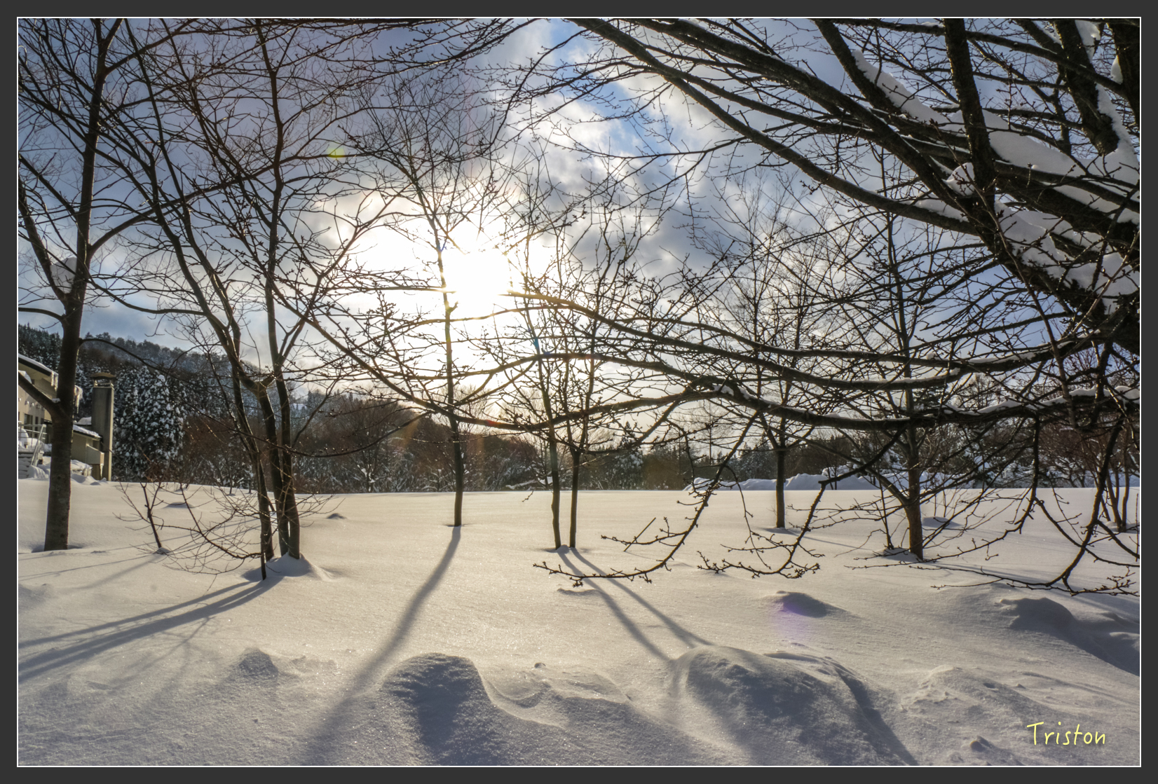 2016ZAO-00832.jpg - 20160131 日本藏王溫泉滑雪親子行