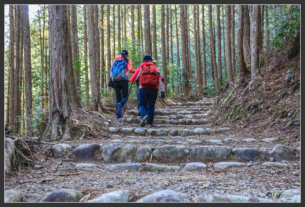 IMG_4996.jpg - 20160323 日本熊野古道健行