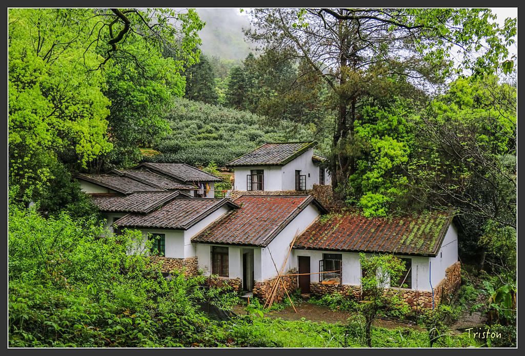 IMG_6391.jpg - 20160409 武夷山之旅