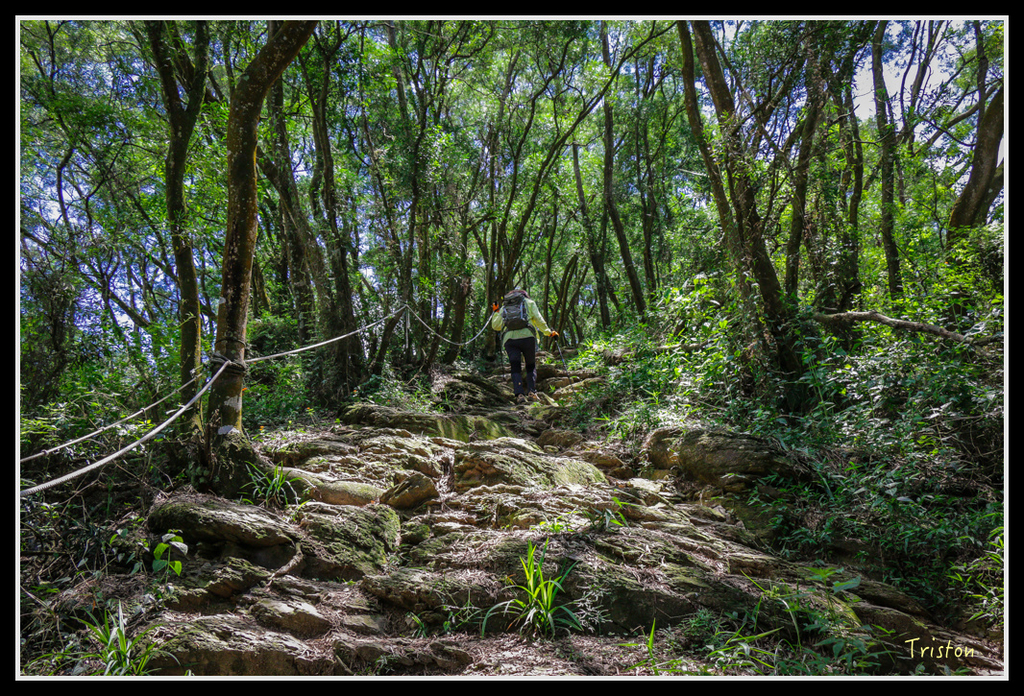 IMG_7303.jpg - 20160531 屏東笠頂山