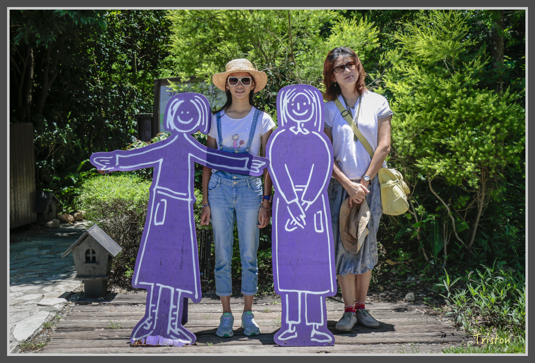 _MG_8842.jpg - 20160712 苗栗薰衣草森林