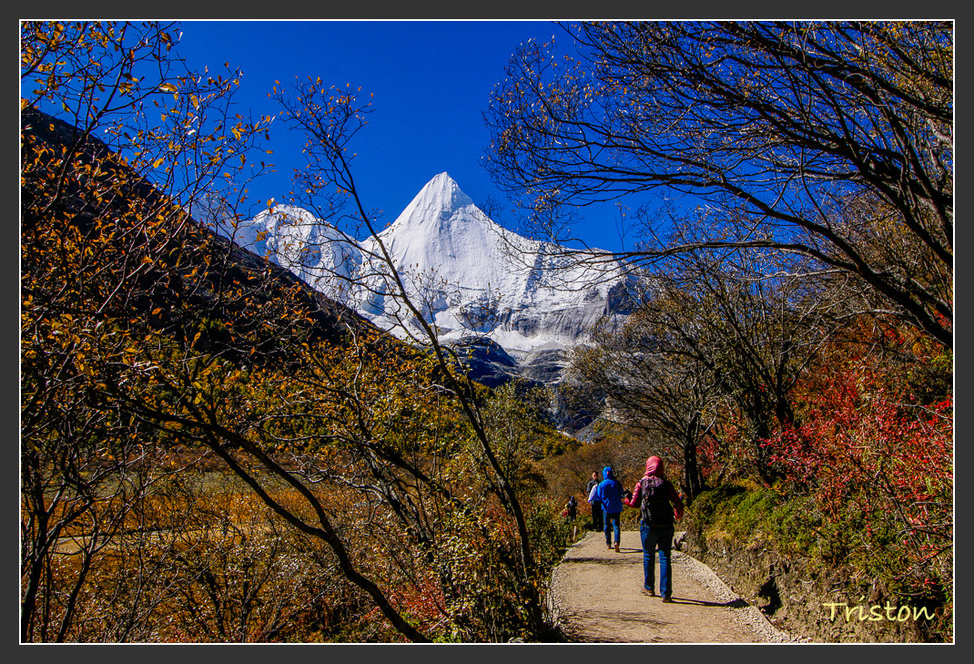 _MG_1713.jpg - 20161013 稻城亞丁