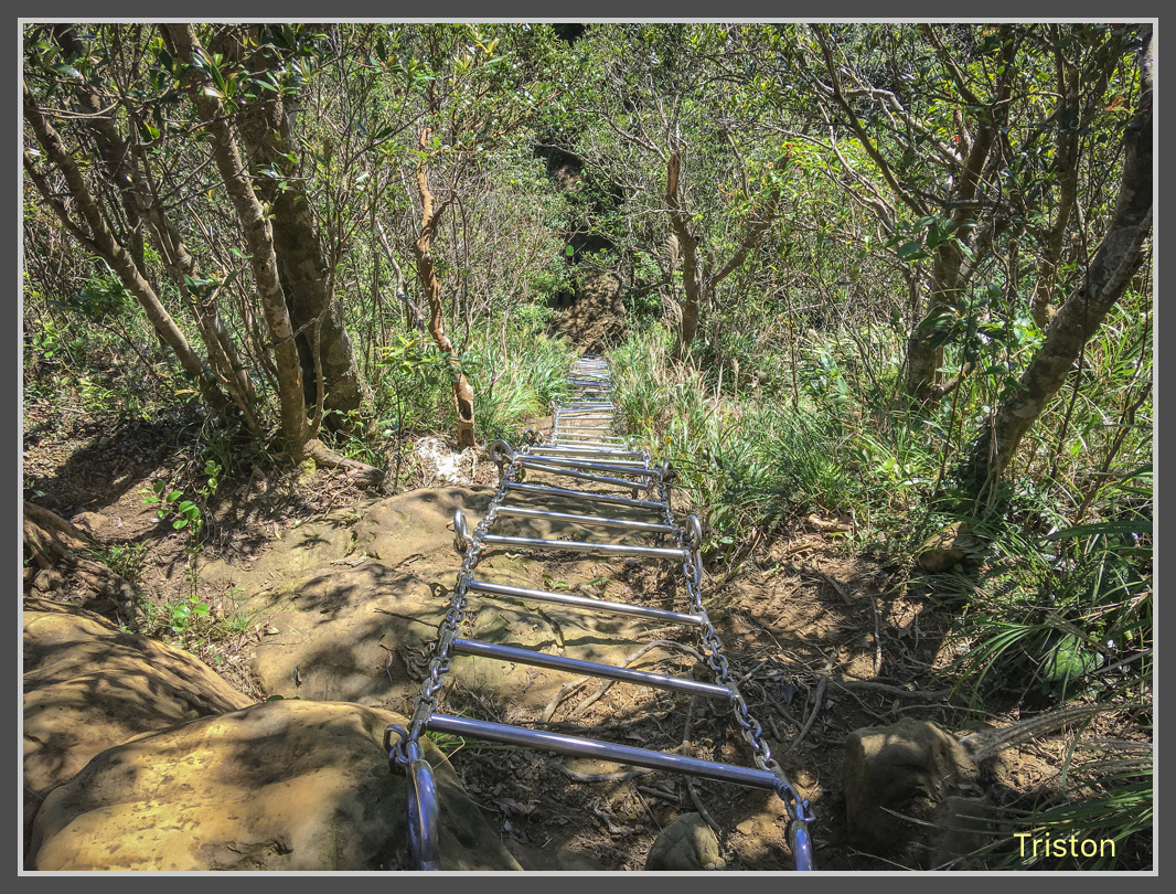 IMG_7053.jpg - 201161113 皇帝殿東西峰