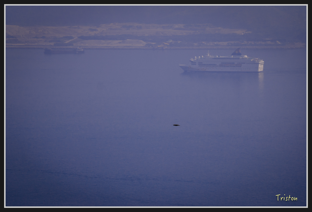 00152.jpg - 20170107 香港健行