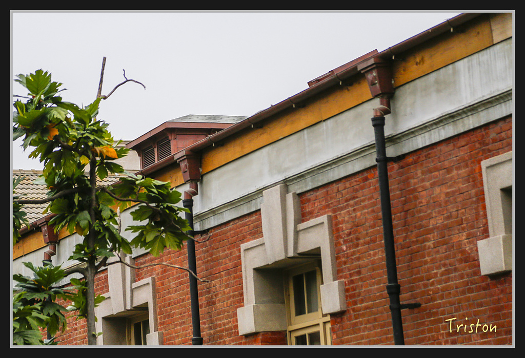 _H1A2697.jpg - 20170314 台南舊法院