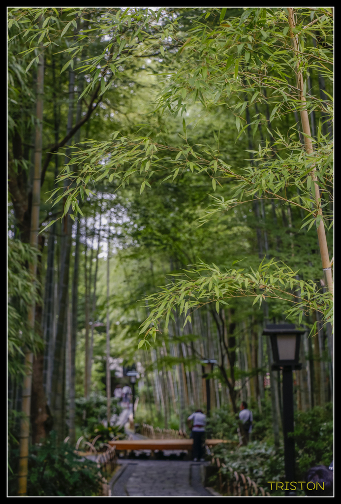 _MG_1250.jpg - 20170702 靜岡東海道之旅