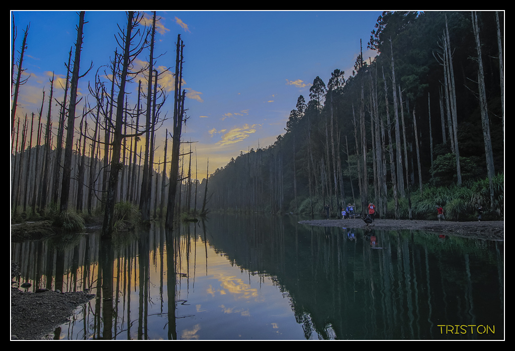 _MG_0168.jpg - 20170723 水漾森林