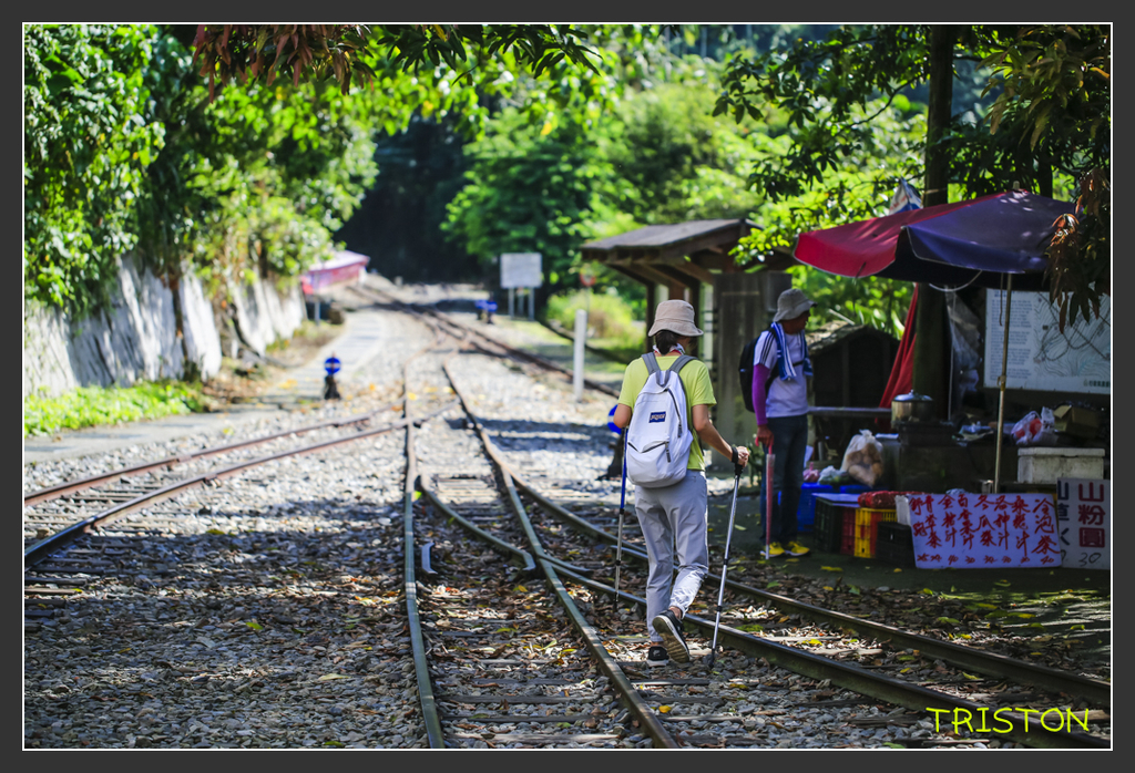 _H1A6738.jpg - 20170904 獨立山步道生態