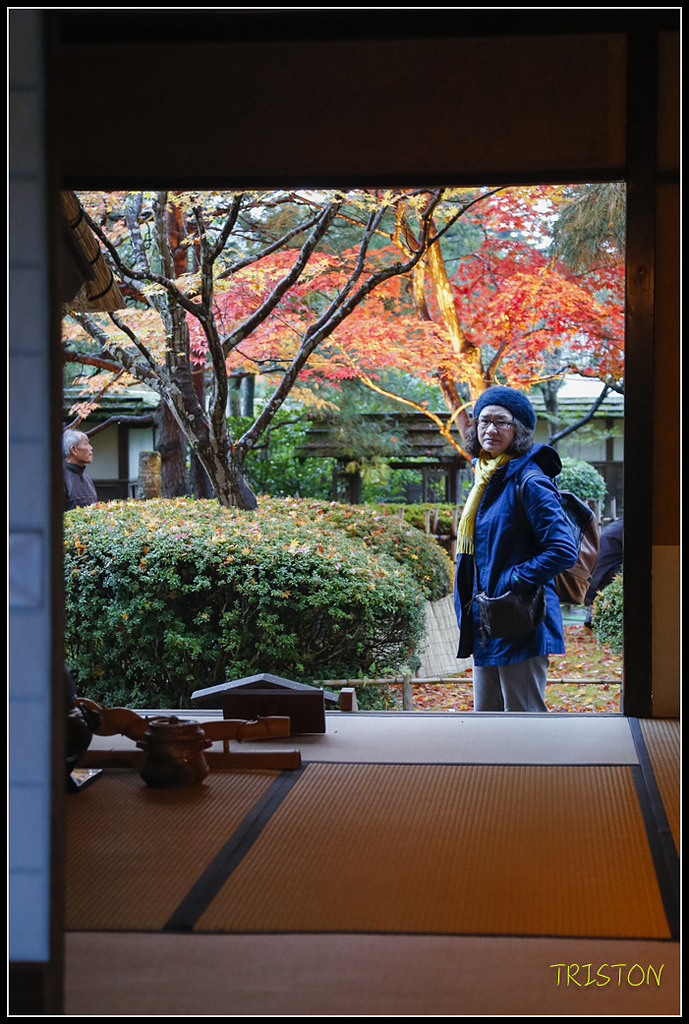 _H1A0978.jpg - 20171103 日本只見線、會津若松五色沼、昭和記念公園賞紅葉