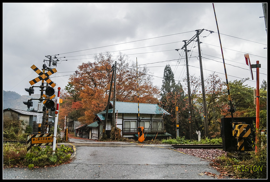 _H1A0298.jpg - 20171103 日本只見線、會津若松五色沼、昭和記念公園賞紅葉