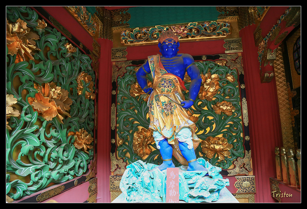 JH1A0016.jpg - 20150628 東京輕井澤日光