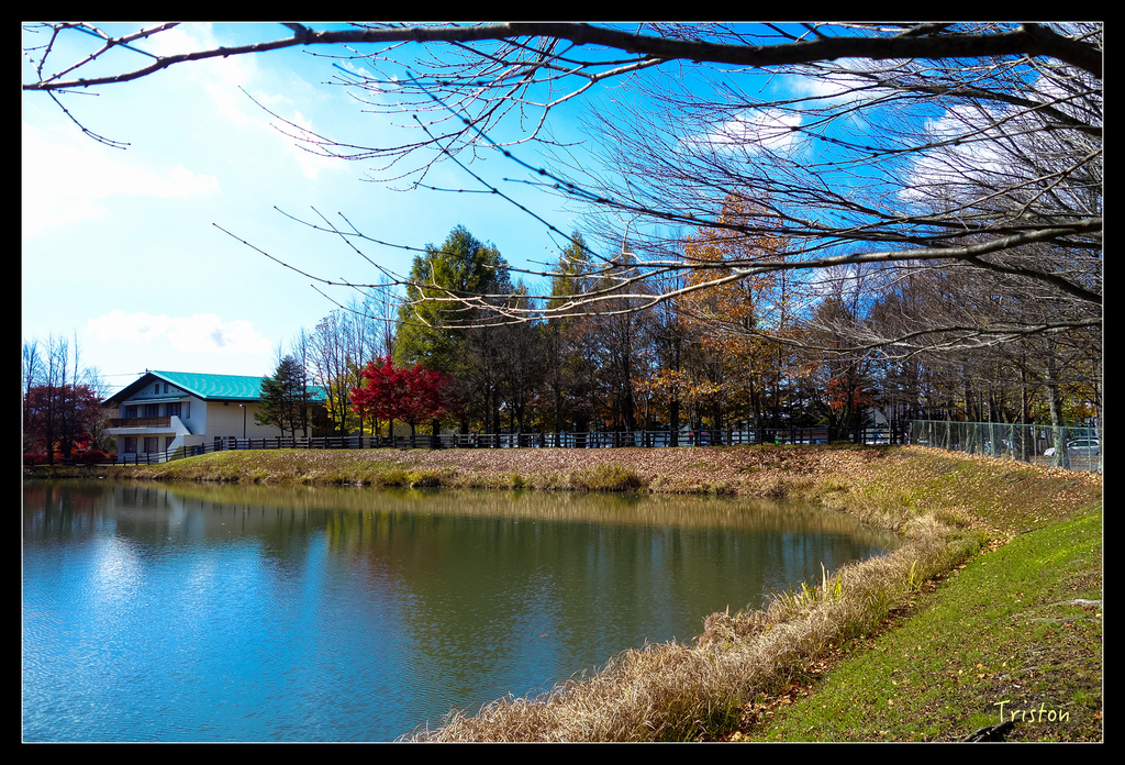 DSC00305.jpg - 20151031 秋天的童話-貴婦東京輕井澤紀行