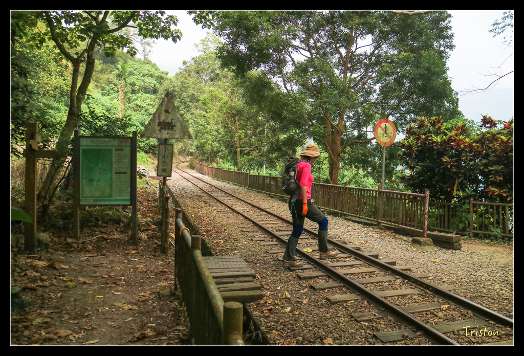 IMG_0749.jpg - 20151115 獨立山步道