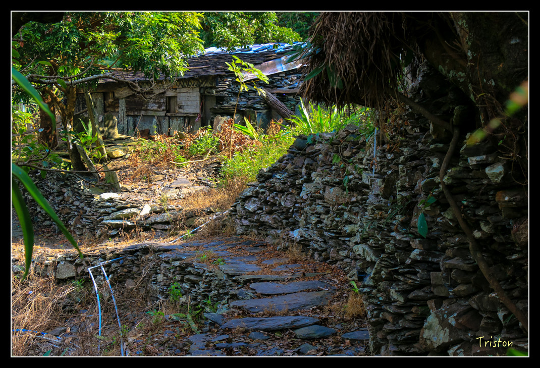 IMG_9554.jpg - 20151202 老七佳部落