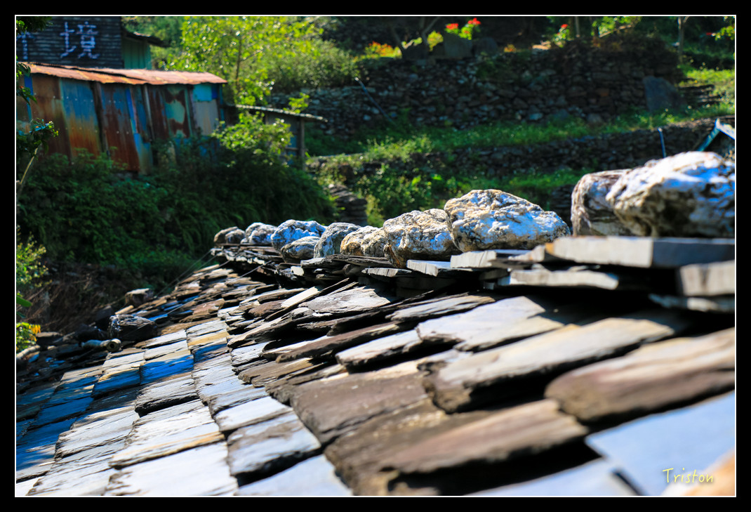 IMG_9504.jpg - 20151202 老七佳部落