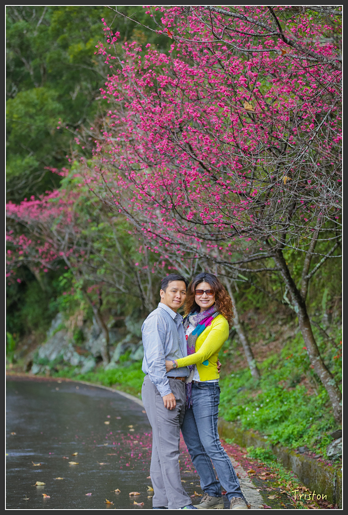 JH1A8170.jpg - 20160111 吉露、阿禮部落