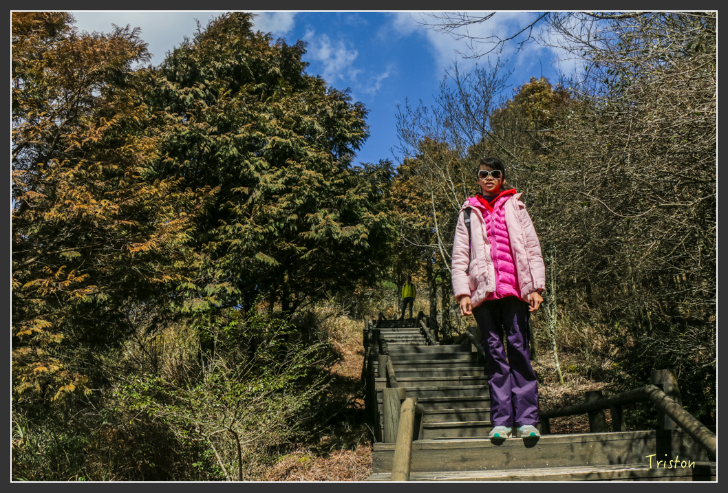 IMG_3374.jpg - 20160227 觀霧森林步道