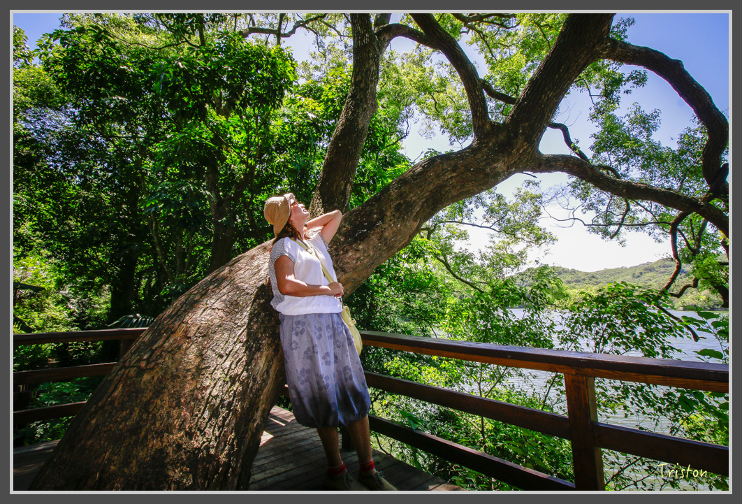 _MG_8865.jpg - 20160712 苗栗薰衣草森林